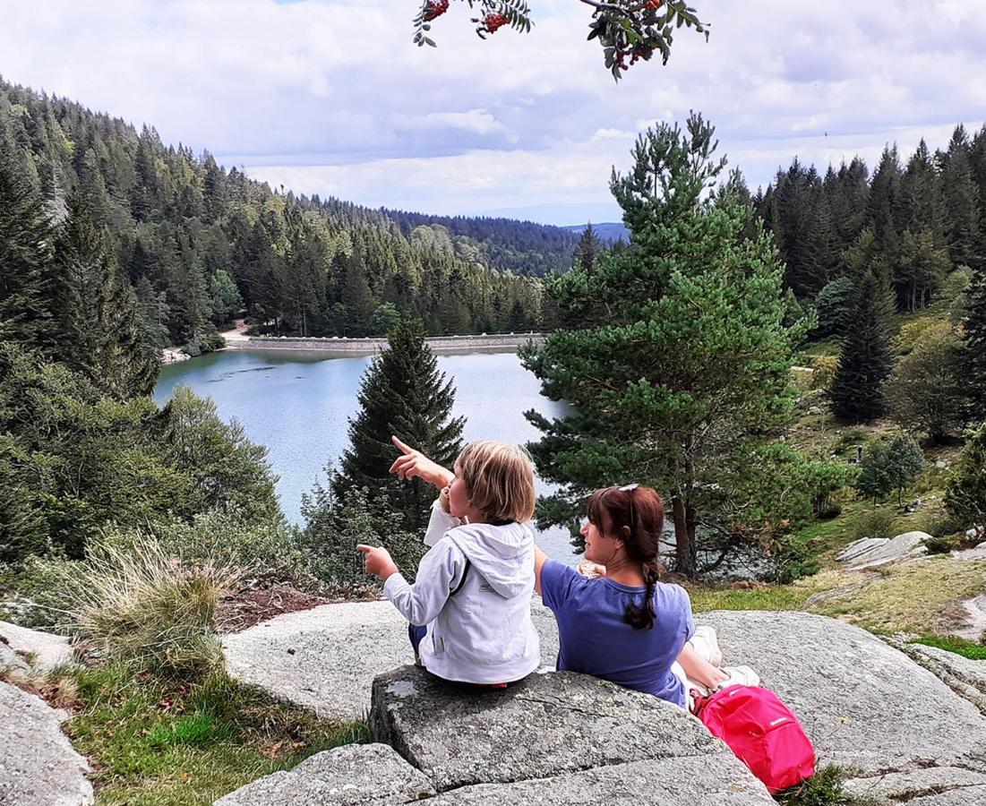 Chalet Hohneck 4 Etoiles, Vieux Bois Et Pierre, Spa, Sauna, Borne De Recharge Stosswihr Luaran gambar