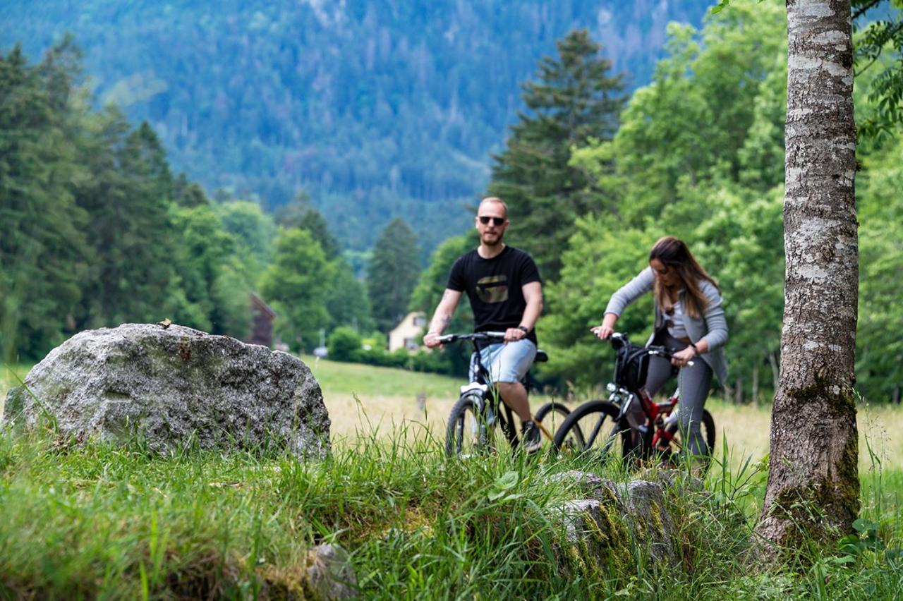 Chalet Hohneck 4 Etoiles, Vieux Bois Et Pierre, Spa, Sauna, Borne De Recharge Stosswihr Luaran gambar