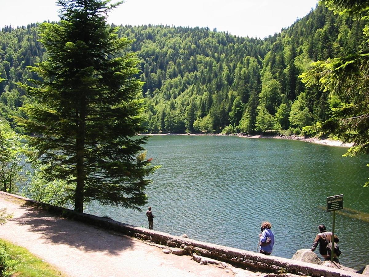 Chalet Hohneck 4 Etoiles, Vieux Bois Et Pierre, Spa, Sauna, Borne De Recharge Stosswihr Luaran gambar